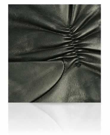 Перчатки Мужские 11_HOLLAND/BL//11